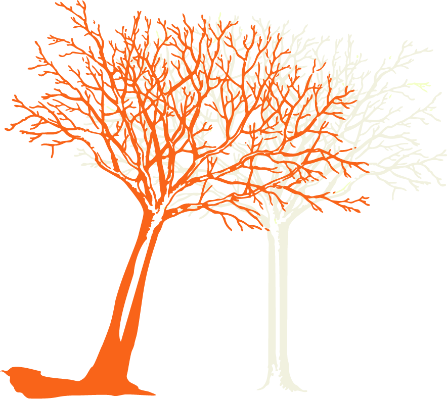 Illustration eines Baums der in einen Nachbarbaum gefallen ist