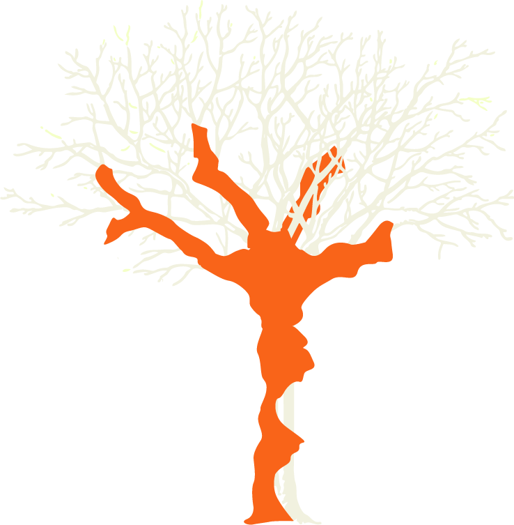 Illustration eines Baums mit farblichen Markierungen im Geäst zur Veranschaulichung des von Efeubefall