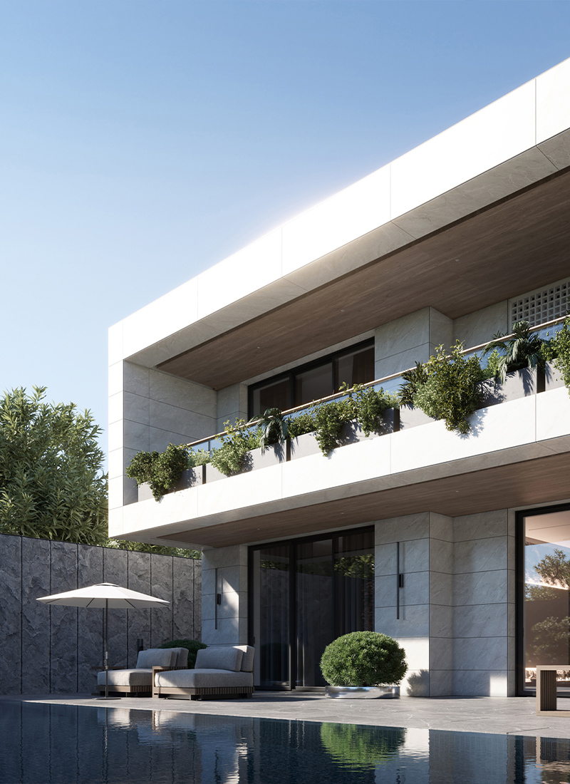 Orange flower on a blue sky background.