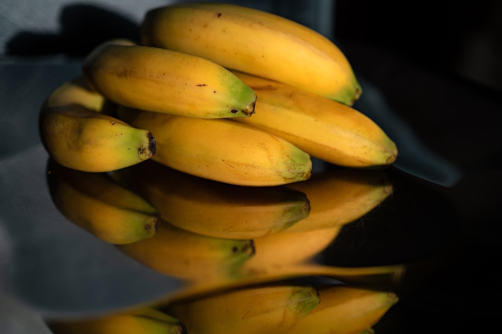 Single Portfolio Image