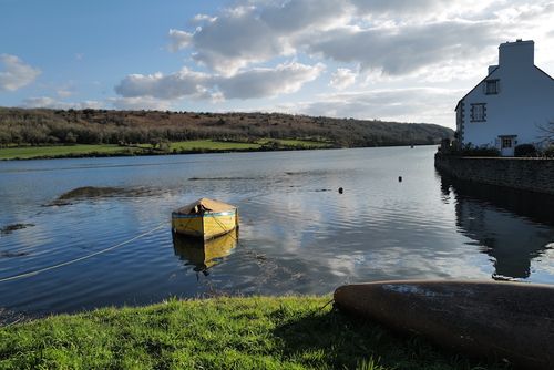 Single Portfolio Image