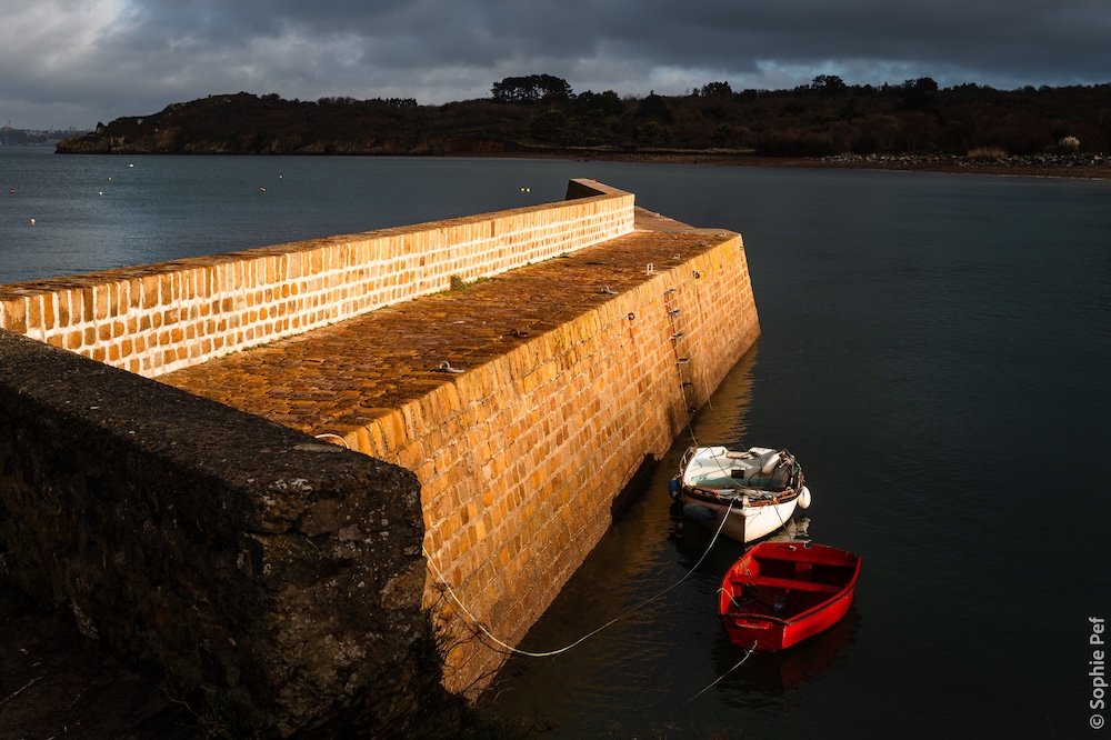 Single Portfolio Image