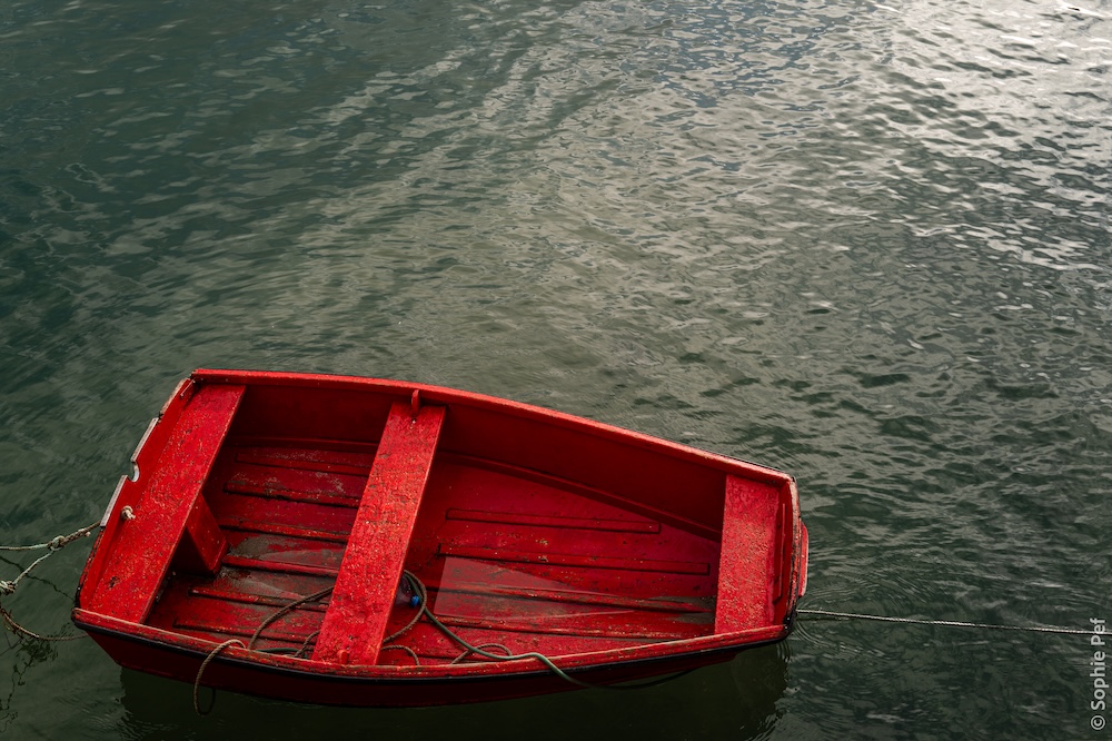 Portfolio Main Image