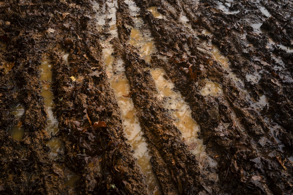 Single Portfolio Image