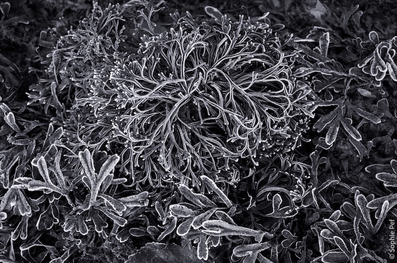 Portfolio Main Image