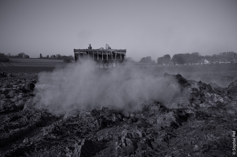 Single Portfolio Image