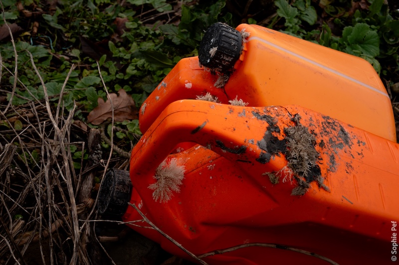 Single Portfolio Image