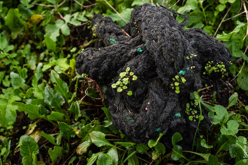 Portfolio Main Image