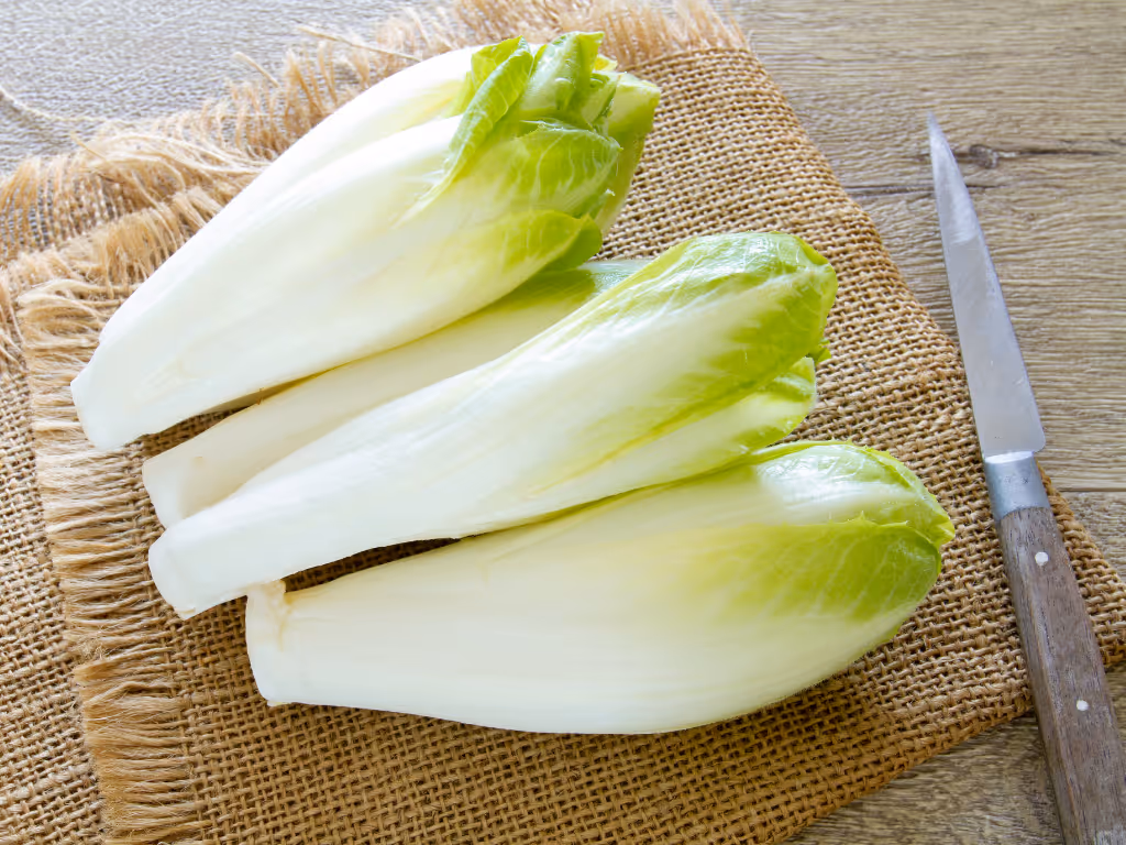 Was Bitterkeit mit Langlebigkeit zu tun hat