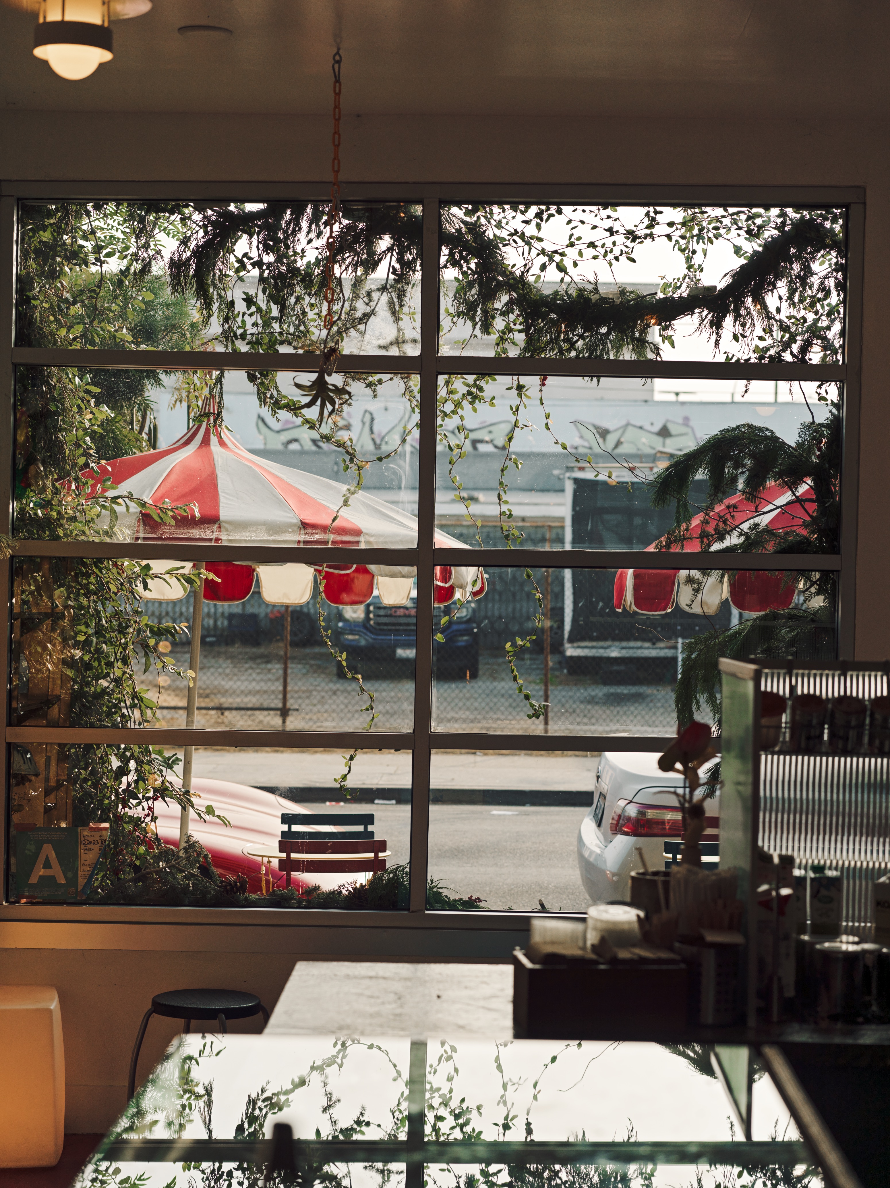 Window seating with a stool and hanging plants looking out onto the street at Jurassic Magic