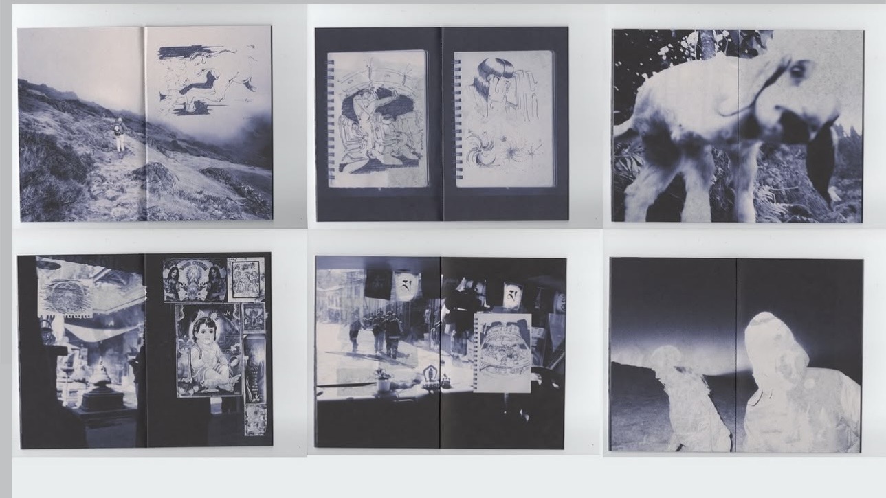 Sam Winner, Seek Joy artist, at Jurassic Magic