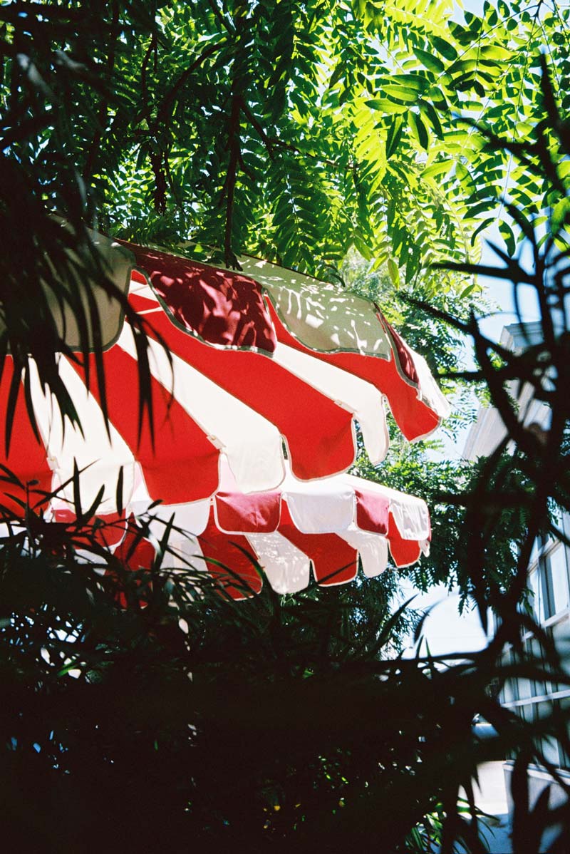 Red and white striped umbrella seen through green tree branches