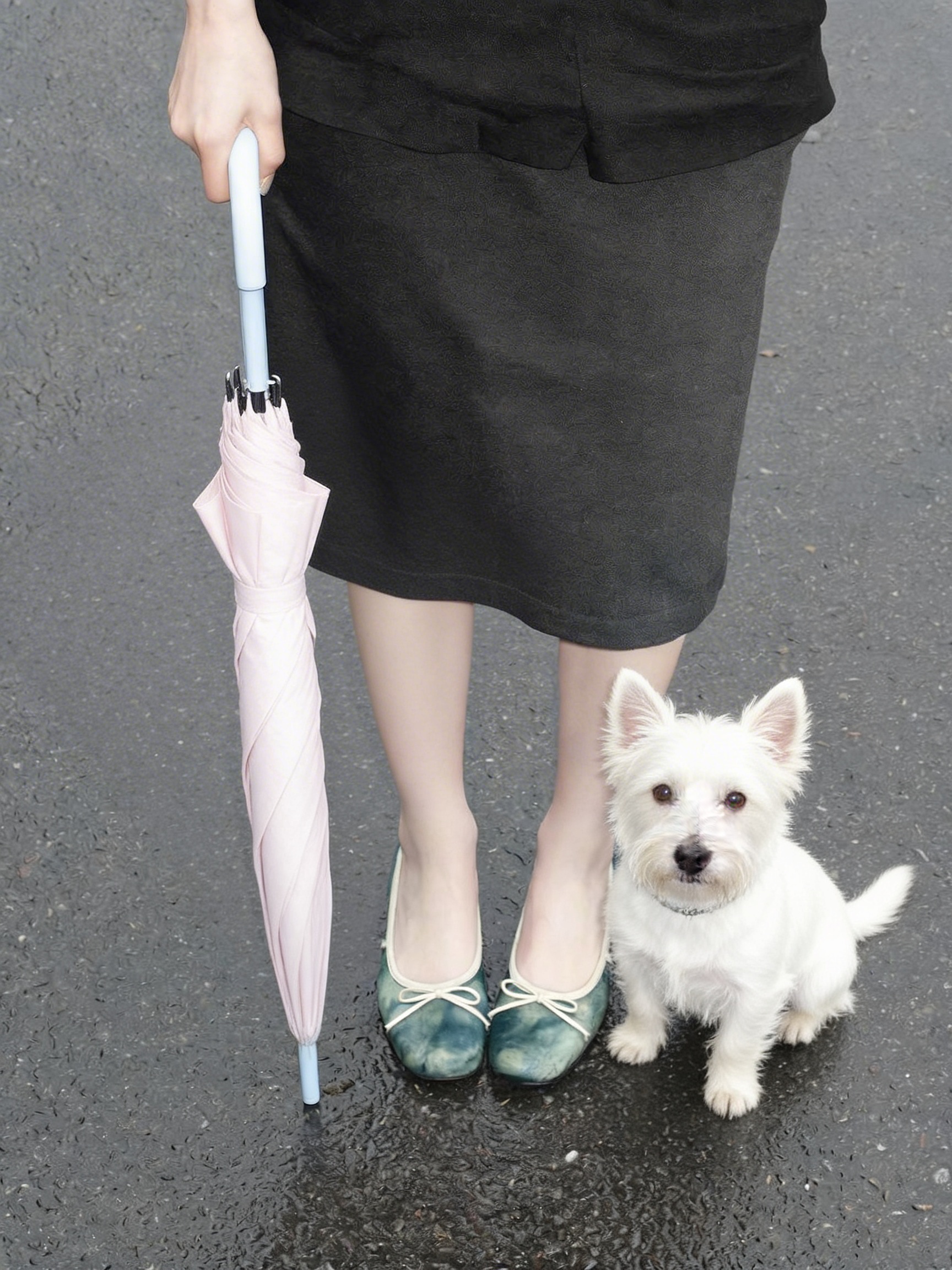 Woman in a black skirt holding a pink umbrella beside a small white dog