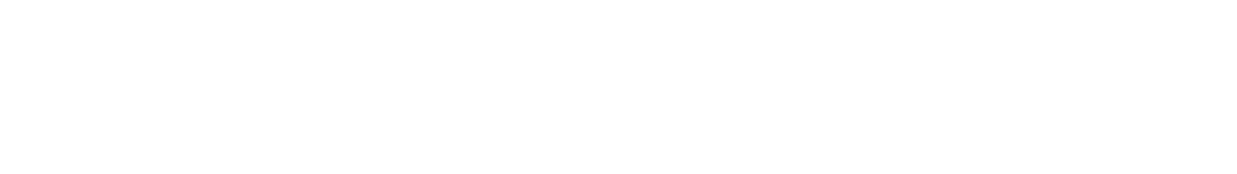 2020INC logo