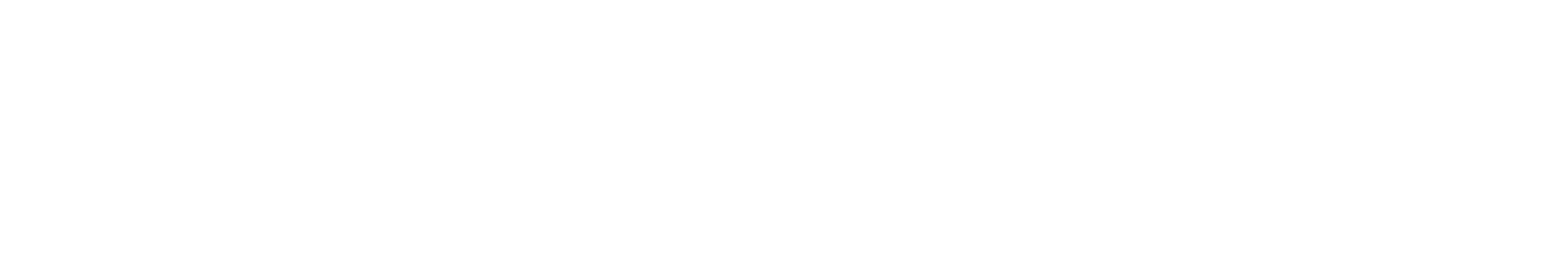 2020INC logo