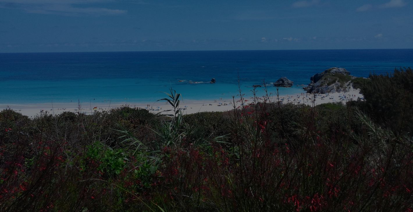 Page Hero Background Image