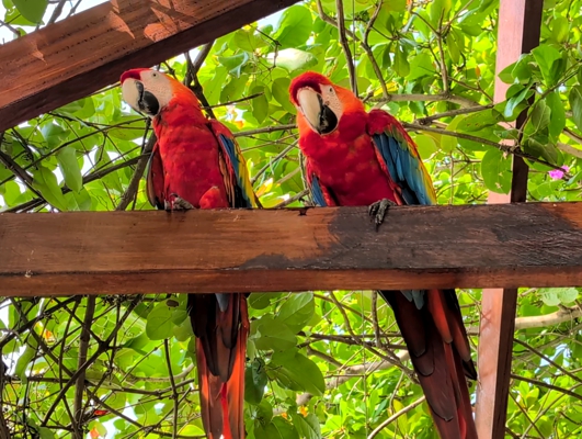 Destination Gallery Image