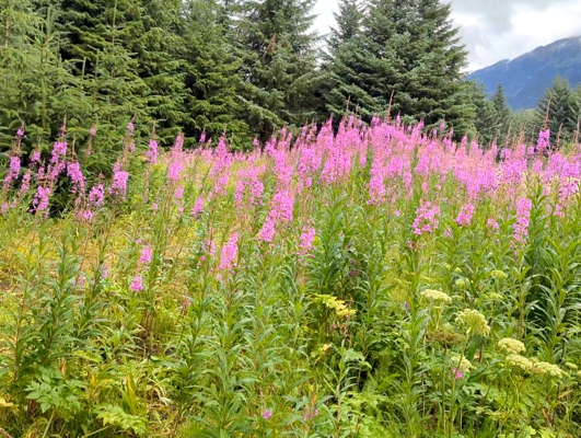 Destination Gallery Image