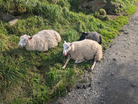 Destination Gallery Image