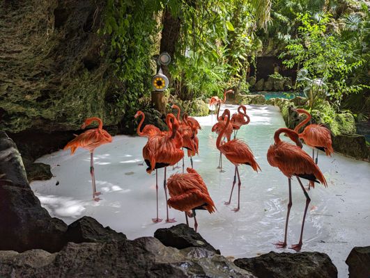 Destination Gallery Image