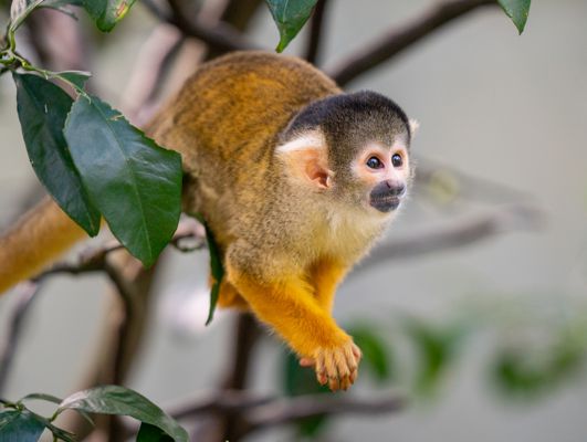 Destination Gallery Image