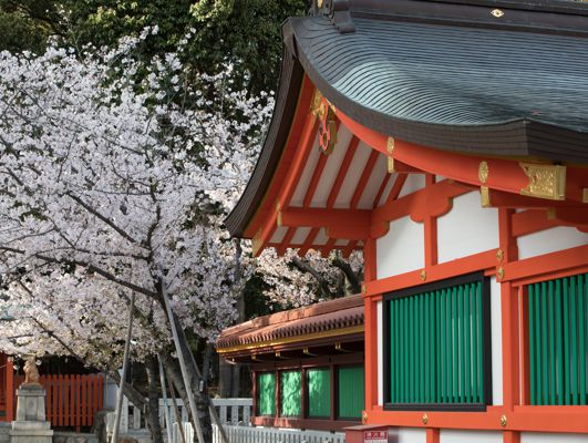 Destination Gallery Image