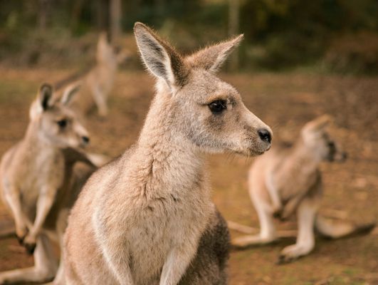 Destination Gallery Image