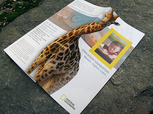 Front of brochure with a giraffe silhouette and a student inside the Nat Geo yellow logo