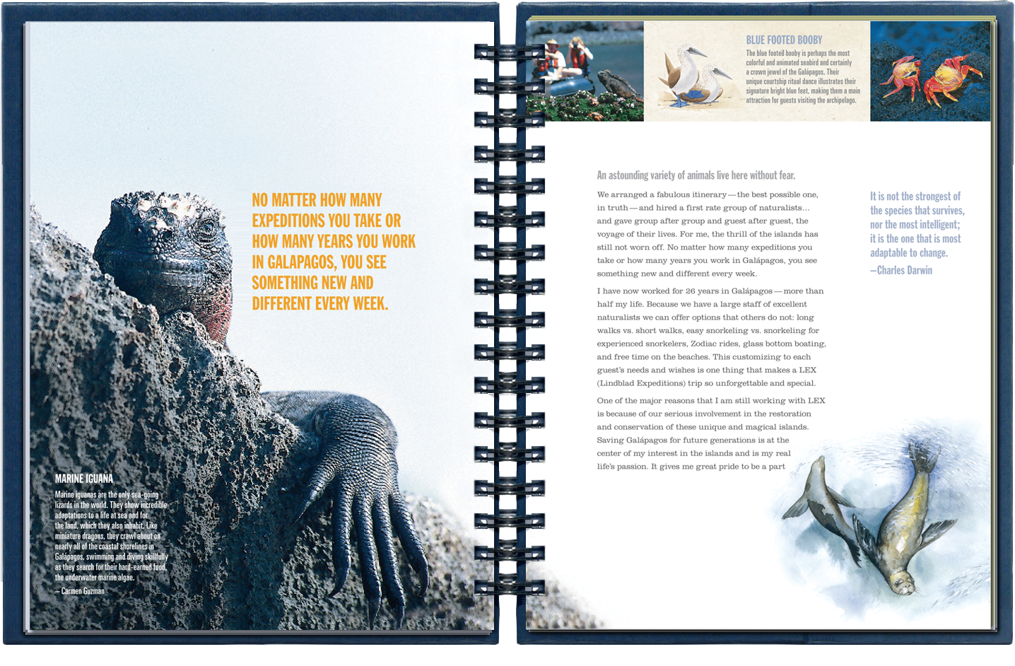 An interior spread of a travel journal with photographs from Galapagos, featuring a photograph of a Marine iguana perched on a rock