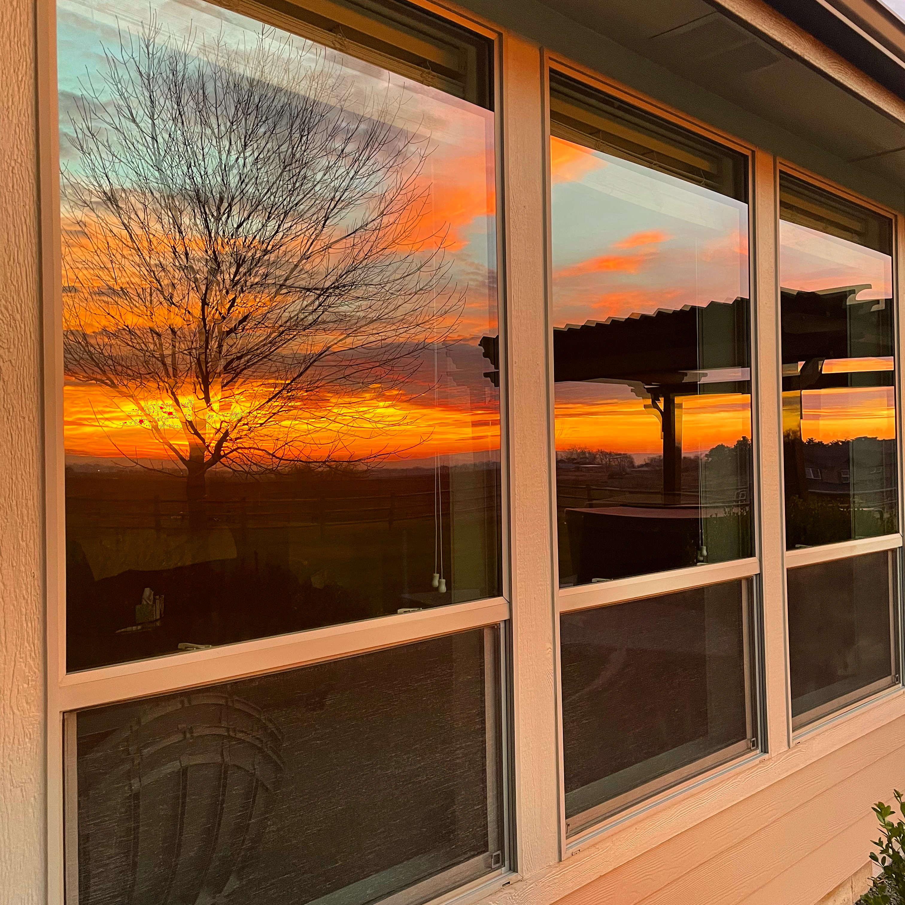 Reflection of a bare tree and a vibrant orange sunset on three large exterior windows with beige frames.