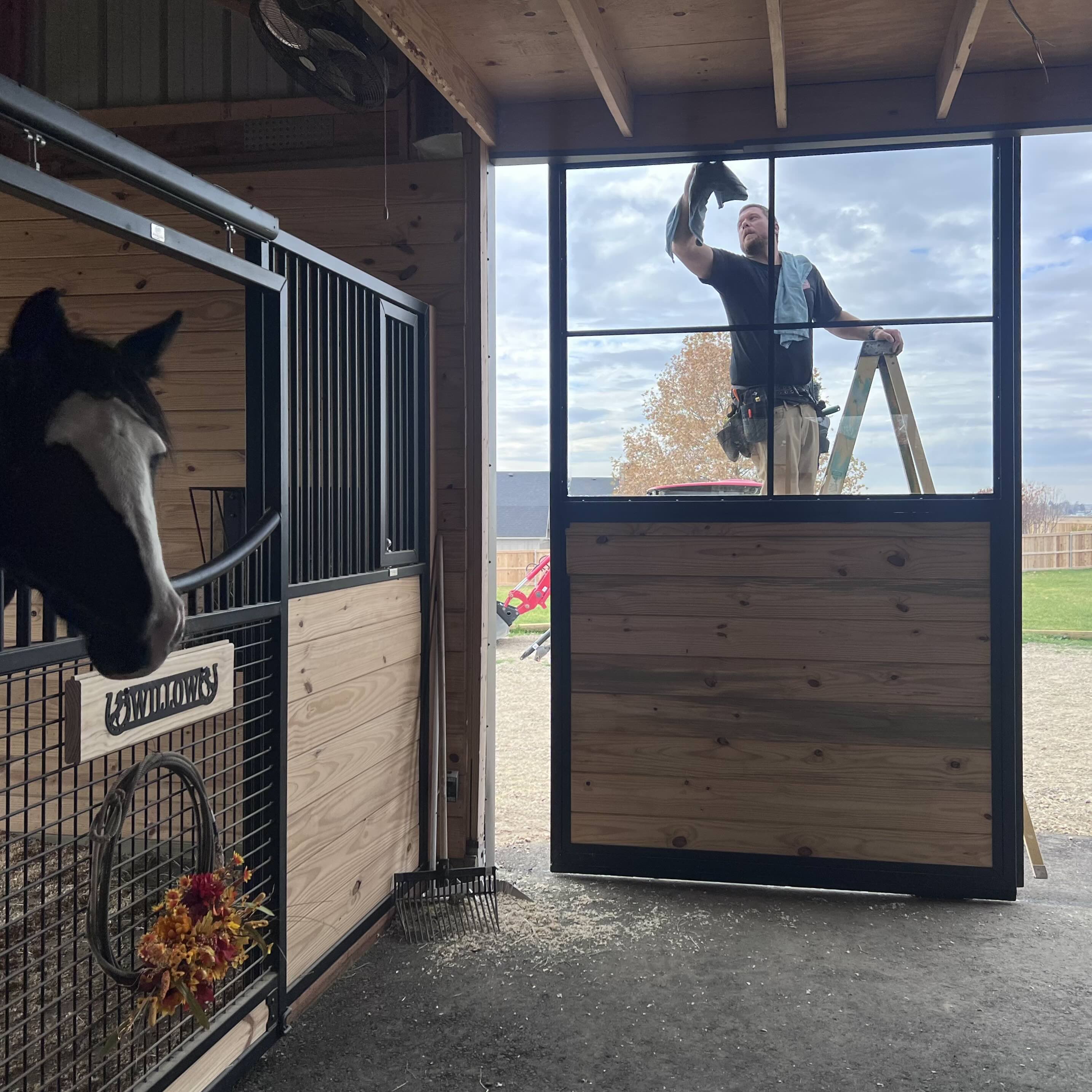 Guy standing on ladder cleaning a large barn window outside with a horse in a stall watching from inside.