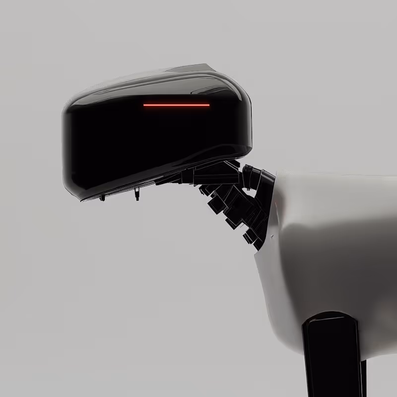 Template Image - Boldish Webflow Template