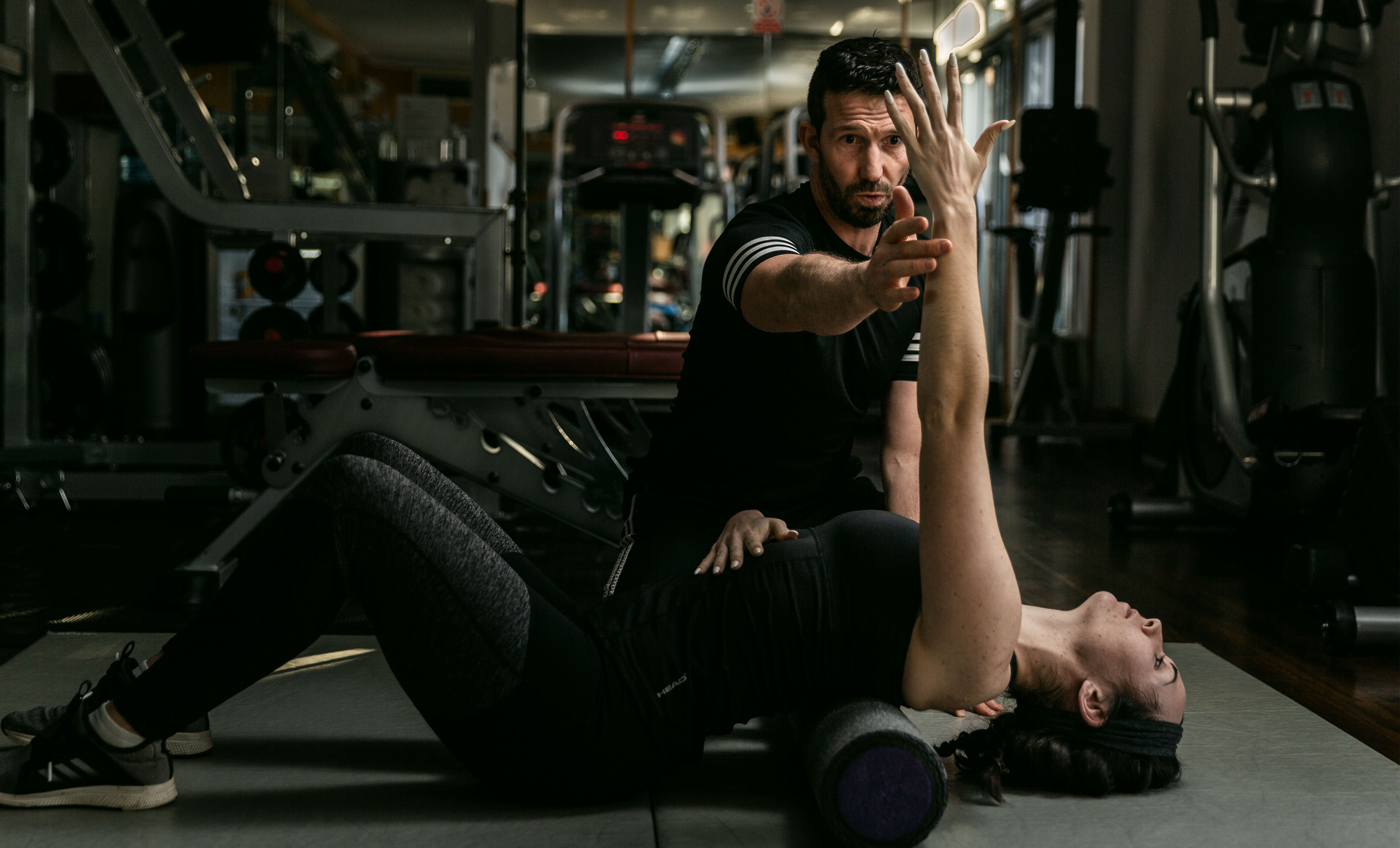 image of animal training sessions