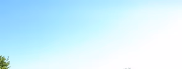 Bright blue sky with a gradient from blue on the left to white on the right and green tree tops at the bottom left corner.