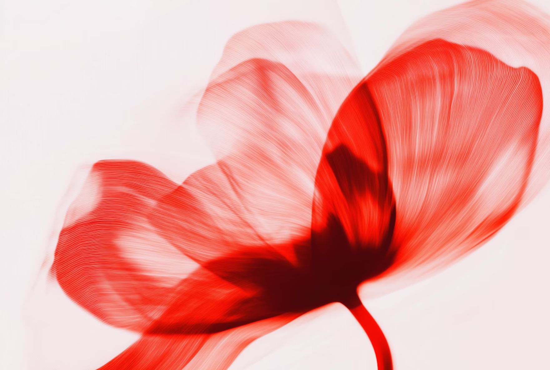 Close-up van een strak apparaat met een rode indicatorlamp.