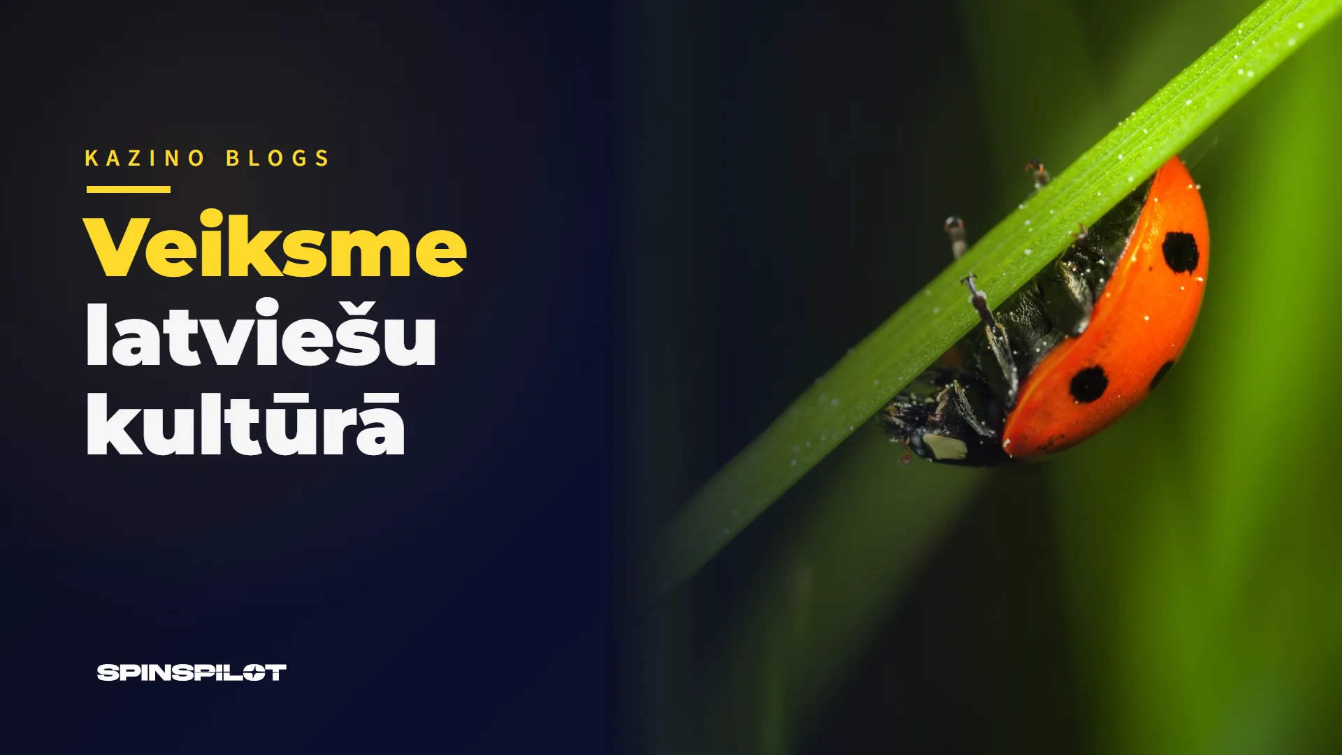 Veiksmes pakļaušana latviešu kultūrā