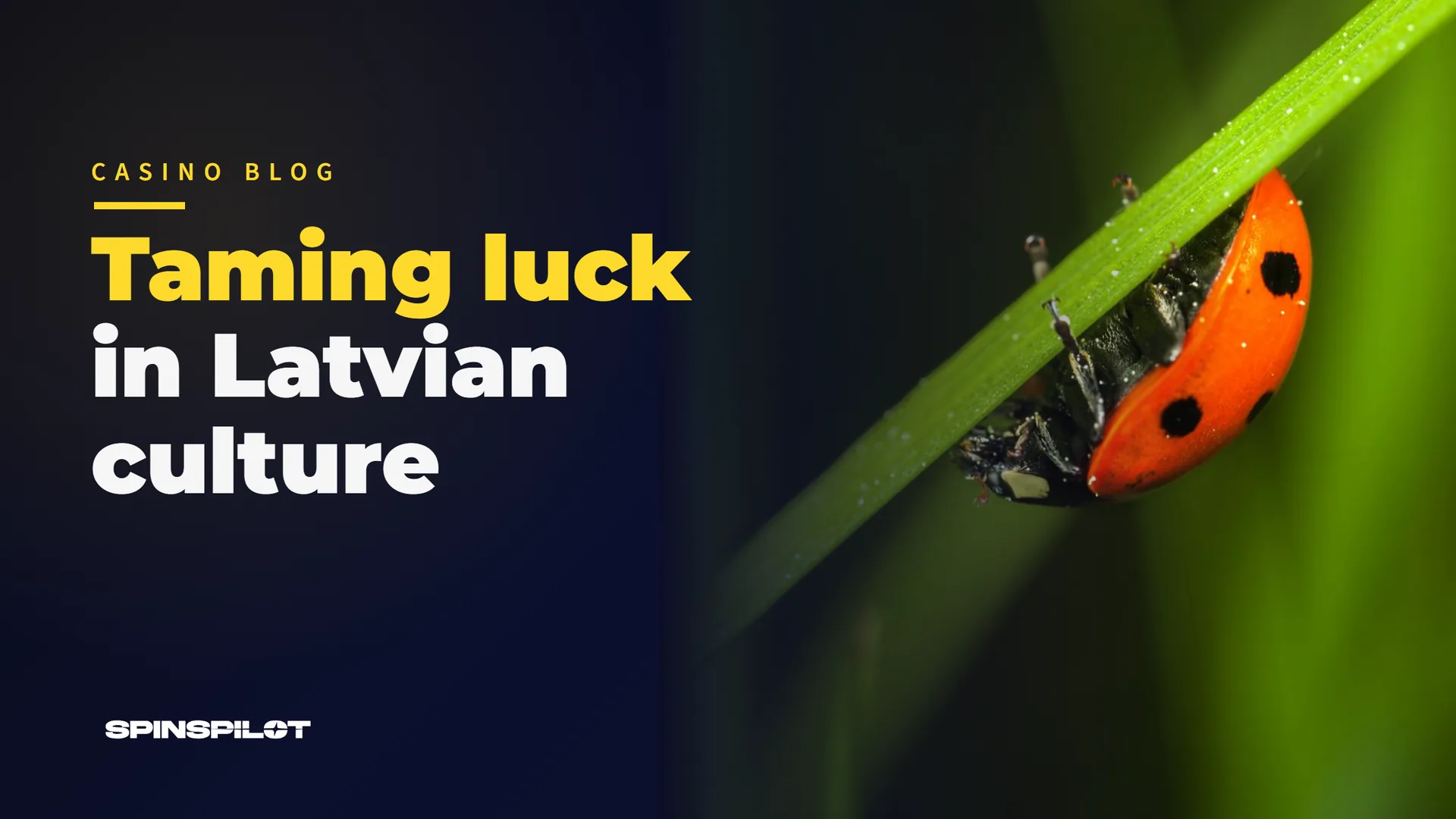 Taming luck in Latvian culture - from ancient signs and Laima to a modern playing strategy