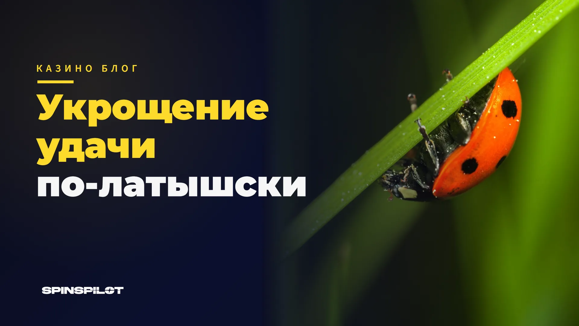Укрощение удачи в латышской культуре: от знаков Лаймы до стратегии в онлайн-казино