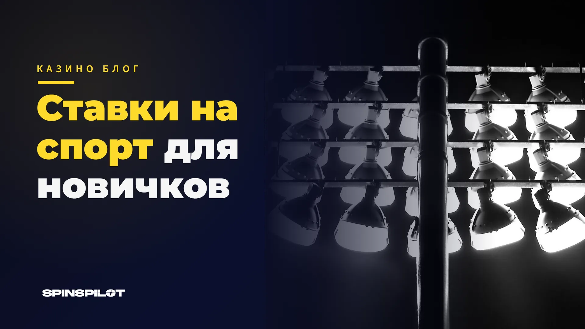 Ставки на спорт для новичков - банкролл и коэффициенты