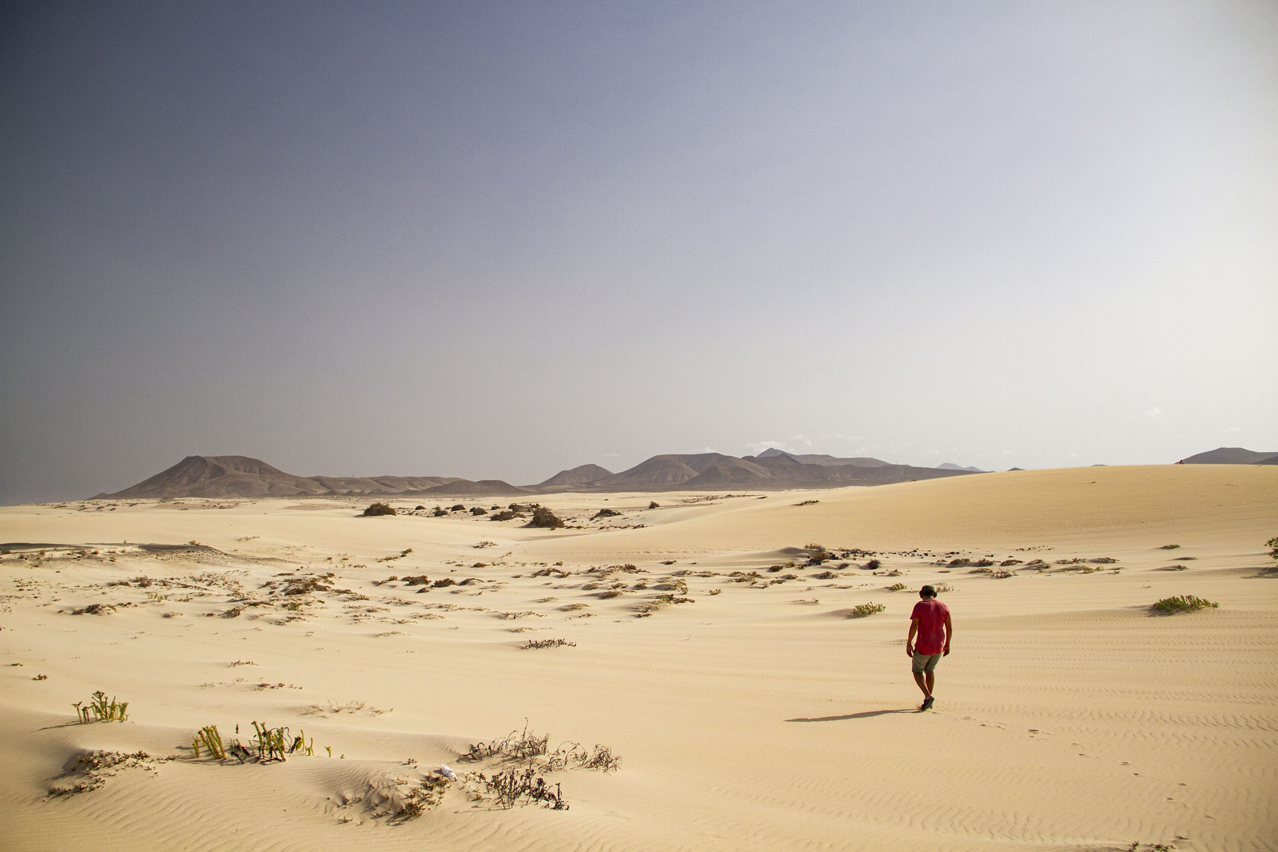 Person in a red shirt walking alone across sandy desert dunes with scattered vegetation and distant mountains under a clear sky.