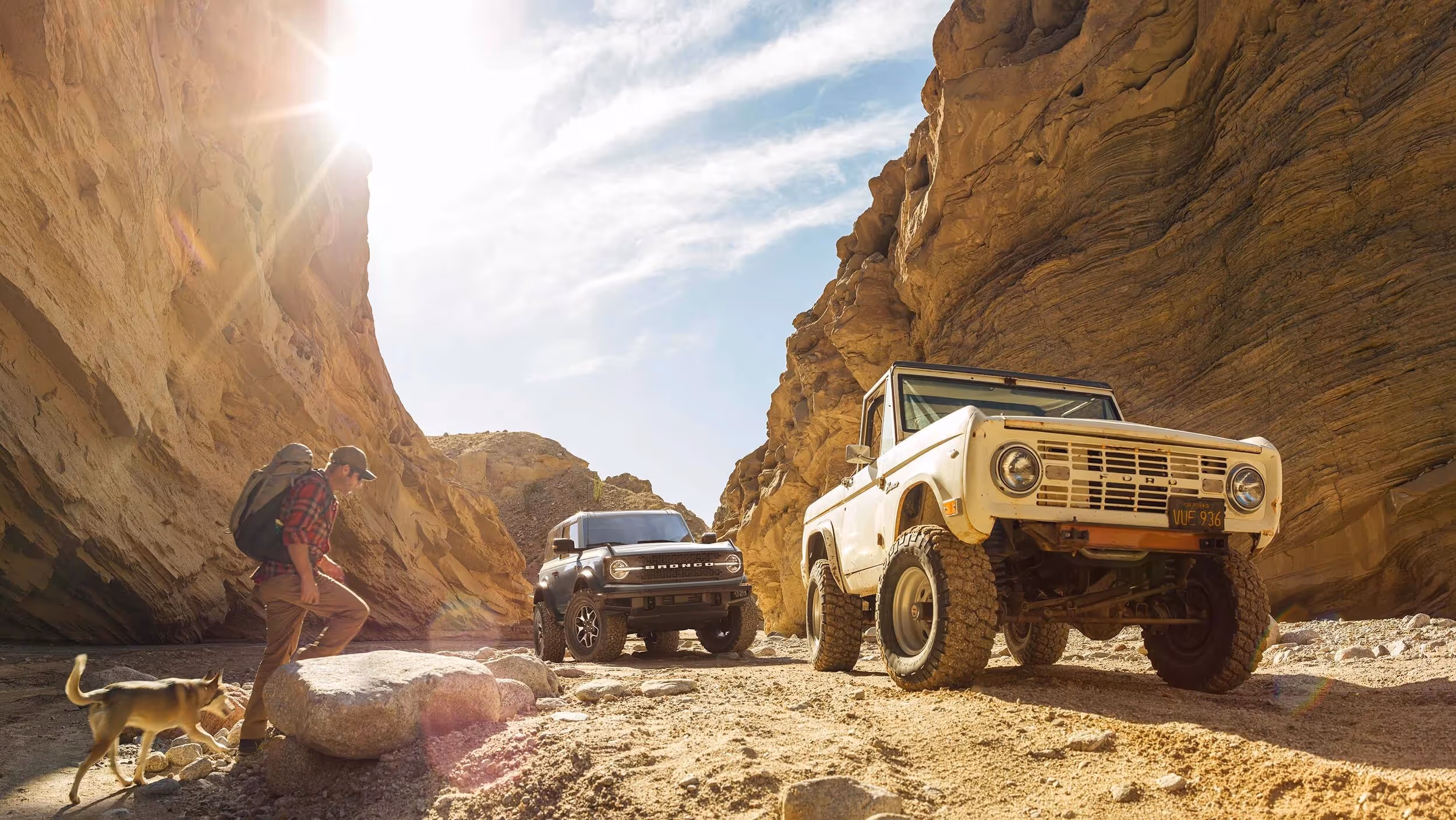 Two Ford Broncos driving through a narrow canyon trail.