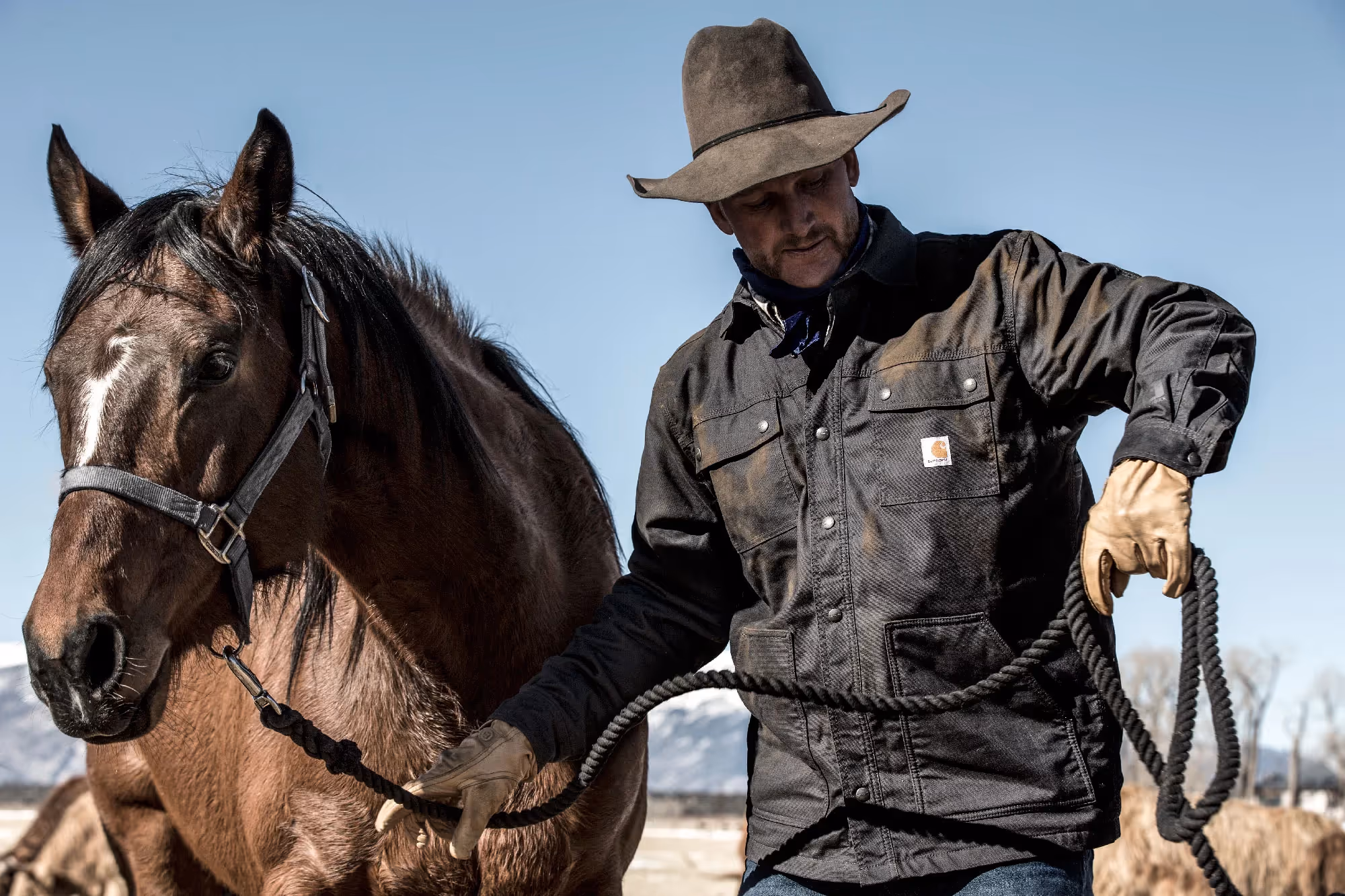 A man wearing a Carhartt jacket leads his horse across a fenced pasture as sunlight cuts through the cold air.