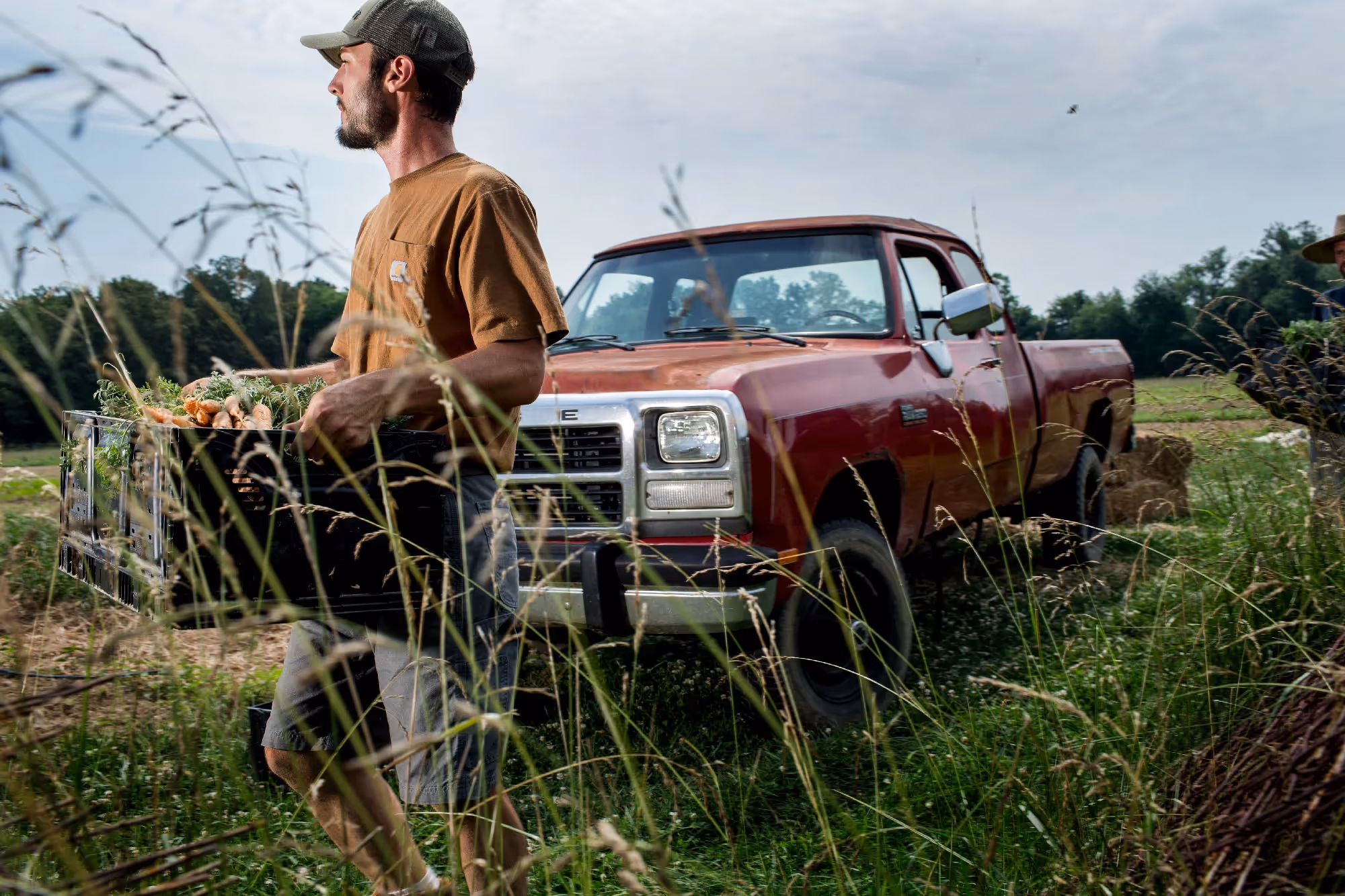 A farmer carries a crate of fresh produce through tall grass with an old red pickup parked behind him.