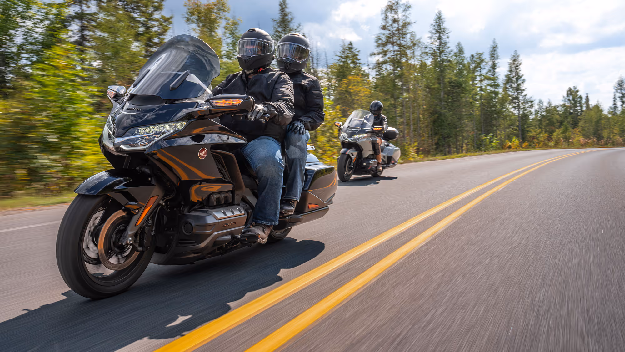 Rider and passenger on a dark Gold Wing cruising through a pine forest