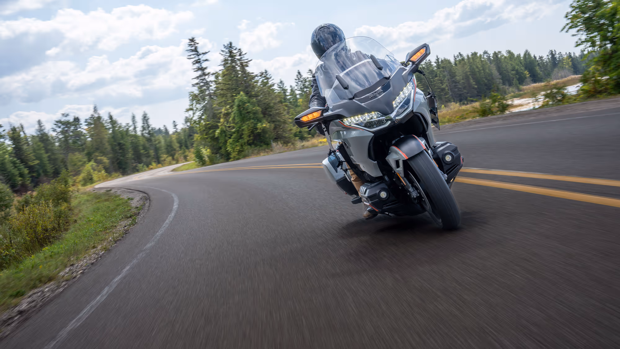 Rear view of a Gold Wing rider carving a sharp curve on a forested two-lane road