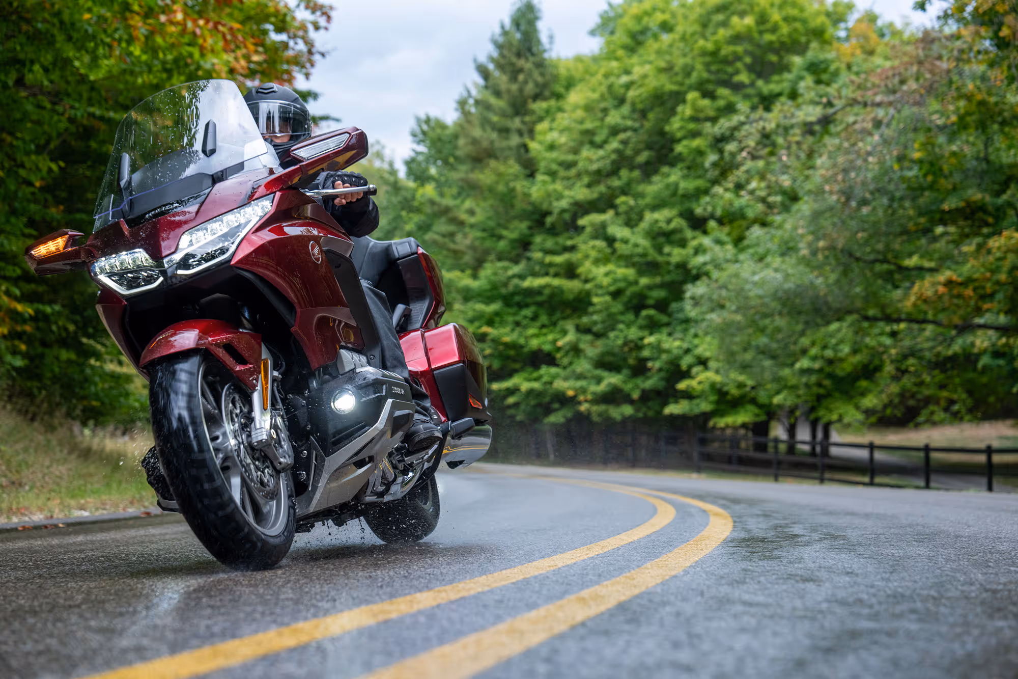 Candy red Gold Wing leaning into a curve on a damp wooded road