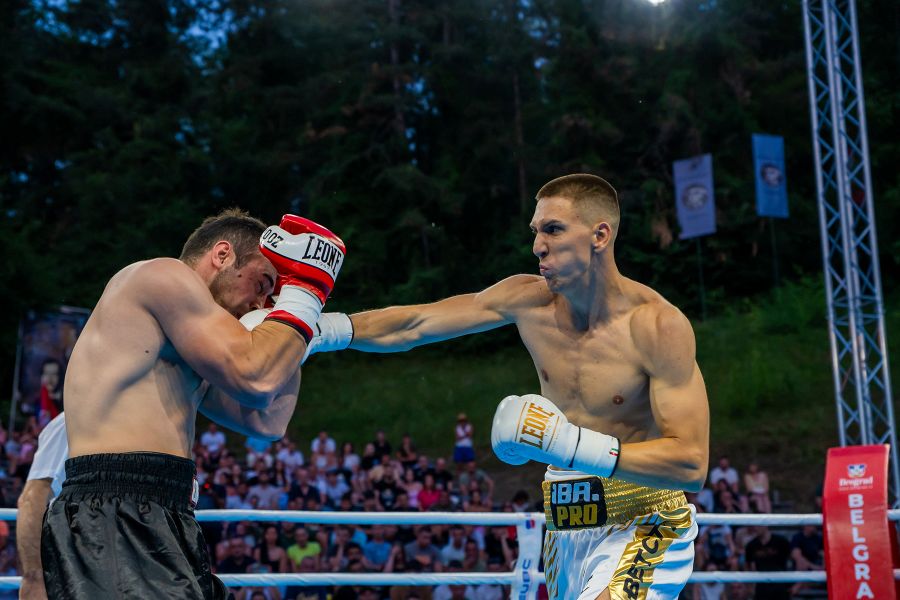 Foto: Bokserski savez Srbije