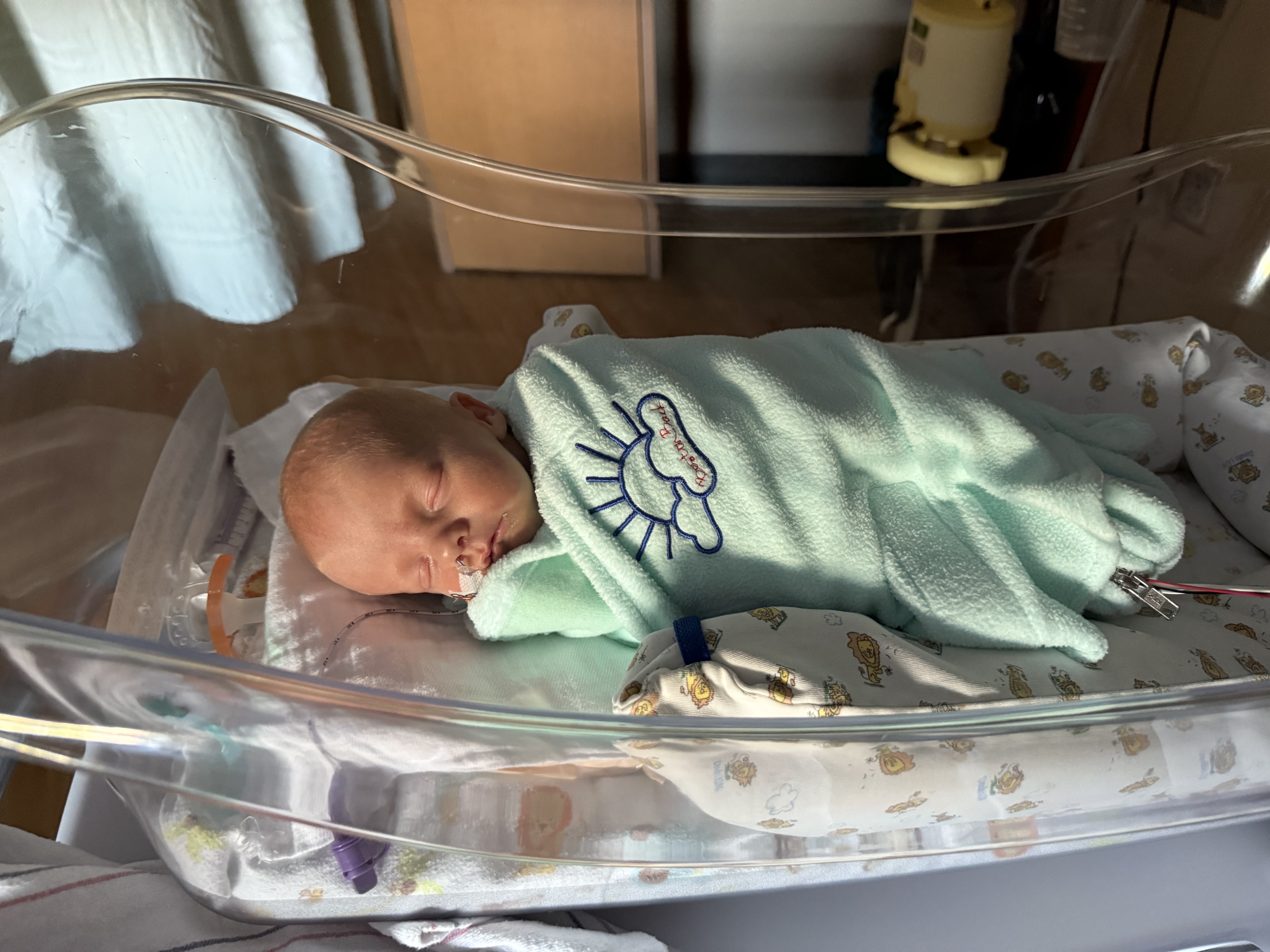 image of unique dish preparation 2