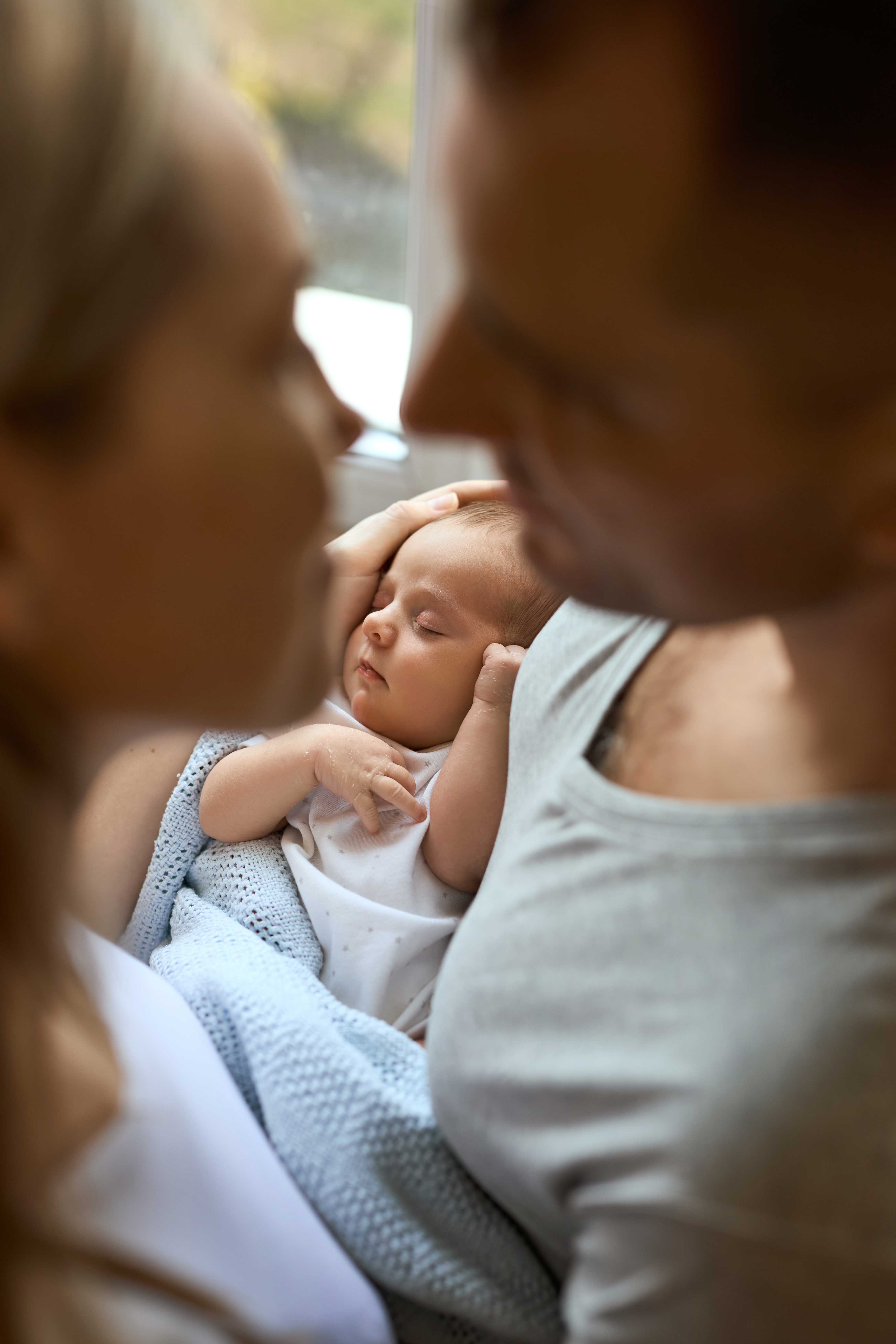 [background image] image of landscape (for a university)