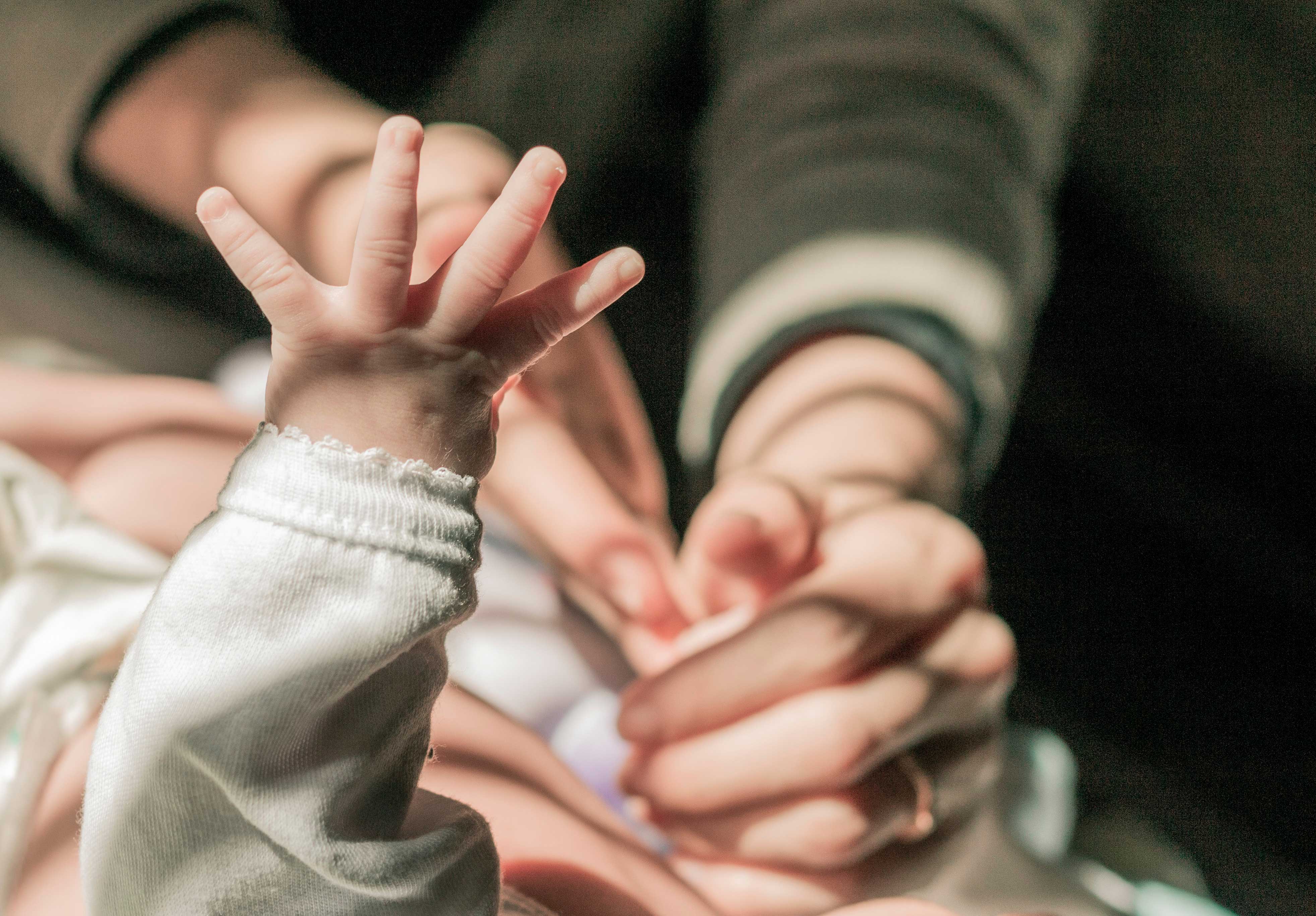 [background image] image of landscape (for a university)